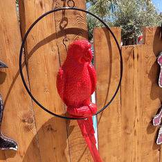 Perroquet suspendu en résine pour extérieur plusieurs coloris dans les Bouches du Rhône