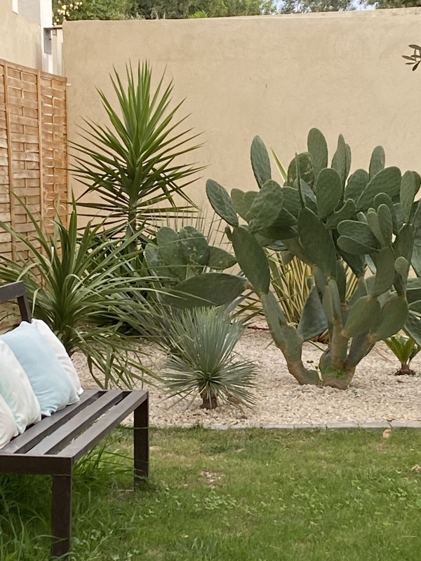 Réalisation d’un jardin sec sur Gignac-la-Nerthe