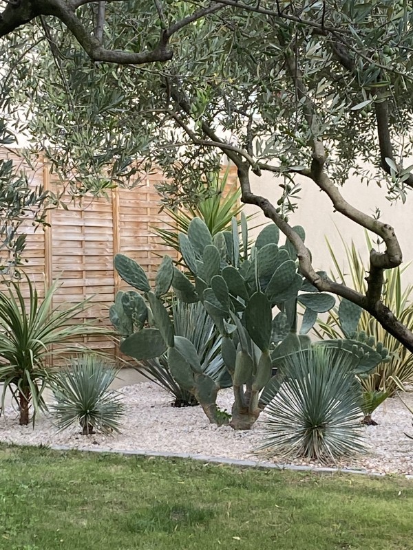 Réalisation d’un jardin sec sur Gignac-la-Nerthe